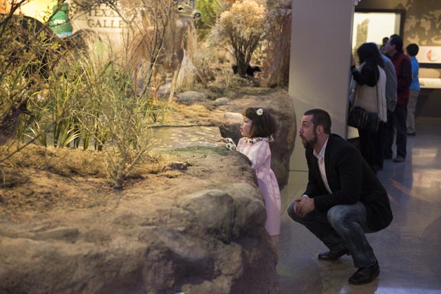 Witte Museum